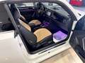 Volkswagen Beetle 1.4 TSI R-Line DSG 150 Blanco - thumbnail 20