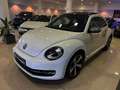 Volkswagen Beetle 1.4 TSI R-Line DSG 150 Blanco - thumbnail 37
