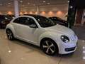 Volkswagen Beetle 1.4 TSI R-Line DSG 150 Blanco - thumbnail 2