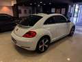 Volkswagen Beetle 1.4 TSI R-Line DSG 150 Blanco - thumbnail 29