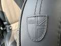 MINI Cooper S Countryman 2.0 S Cooper JCW + Head up + Leder + Panorama - Fu Grün - thumbnail 24