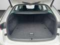 Skoda Octavia IV Combi 1.5 TSI Style MATRIX NAVI KAMER Weiß - thumbnail 15