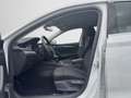 Skoda Octavia IV Combi 1.5 TSI Style MATRIX NAVI KAMER Weiß - thumbnail 12