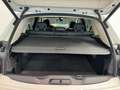 BMW X5 xDrive 30dA Blanco - thumbnail 21