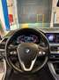 BMW X5 xDrive 30dA Blanco - thumbnail 27