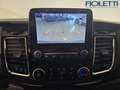 Ford Transit Custom 320 2.0 ECOBLUE 170 AUT. PL-DC FURG. TITANIUM Bronzo - thumbnail 10
