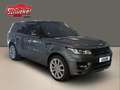 Land Rover Range Rover Sport 4.4 SDV8 Autobiography Dynamic Head-up ACC Grau - thumbnail 10