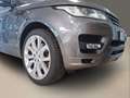 Land Rover Range Rover Sport 4.4 SDV8 Autobiography Dynamic Head-up ACC Grau - thumbnail 11