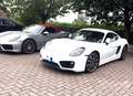Porsche Cayman Cayman 2.7 275cv PDK SPORT CHRONO PLUS PERFETTA! Bianco - thumbnail 12