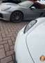 Porsche Cayman Cayman 2.7 275cv PDK SPORT CHRONO PLUS PERFETTA! Bianco - thumbnail 14