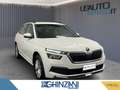 Skoda Kamiq Kamiq 1.0 TSI 110 CV Ambition Blanc - thumbnail 2