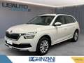 Skoda Kamiq Kamiq 1.0 TSI 110 CV Ambition Blanc - thumbnail 1
