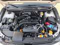 Subaru XV 1.6i Executive Plus CVT Blanco - thumbnail 14