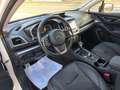 Subaru XV 1.6i Executive Plus CVT Blanco - thumbnail 33