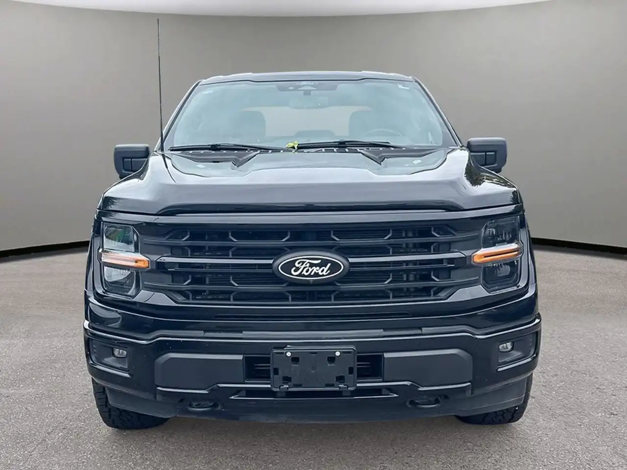 Ford F 150 fotografie Ford F 150