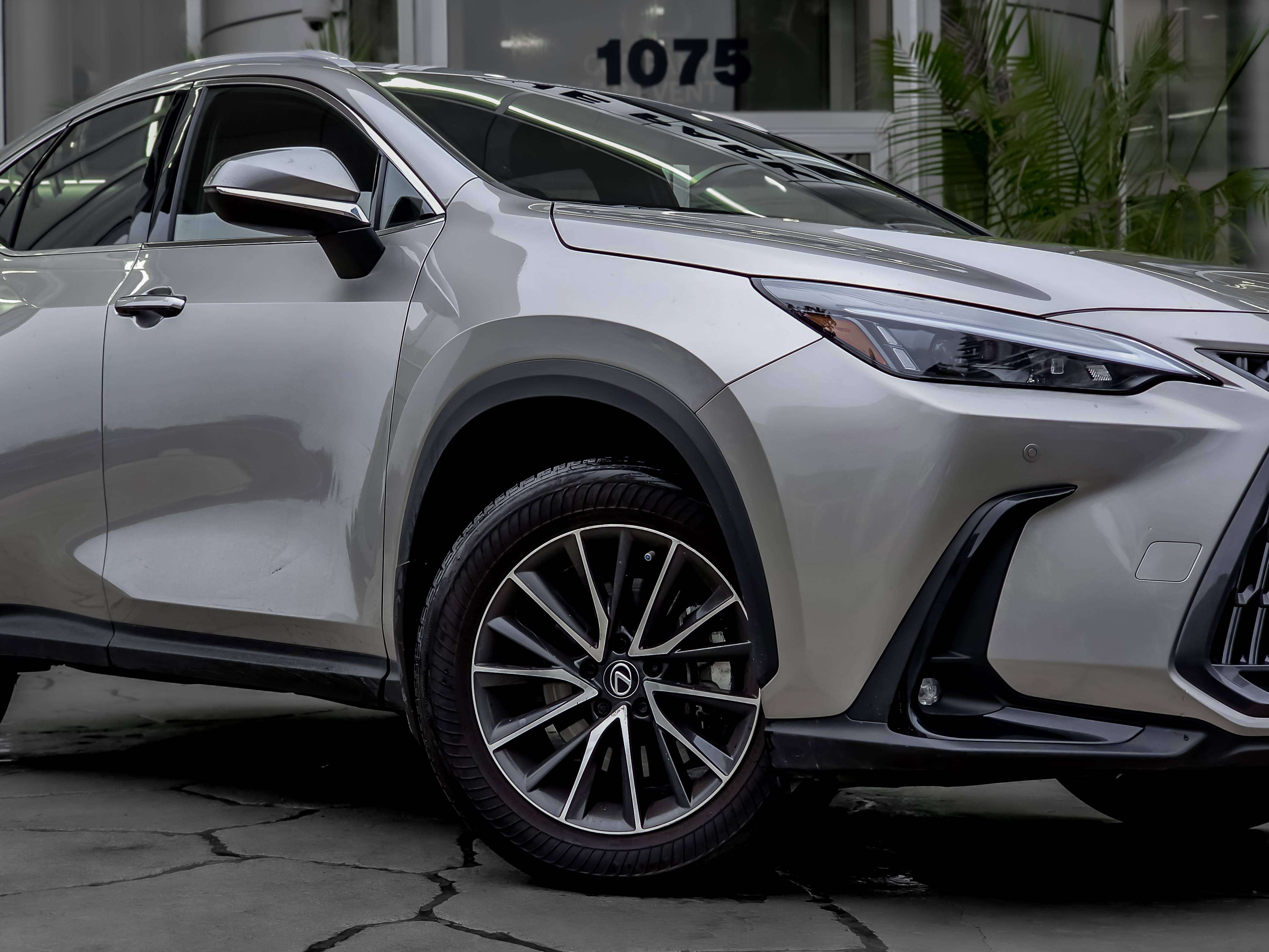 2025 Lexus NX