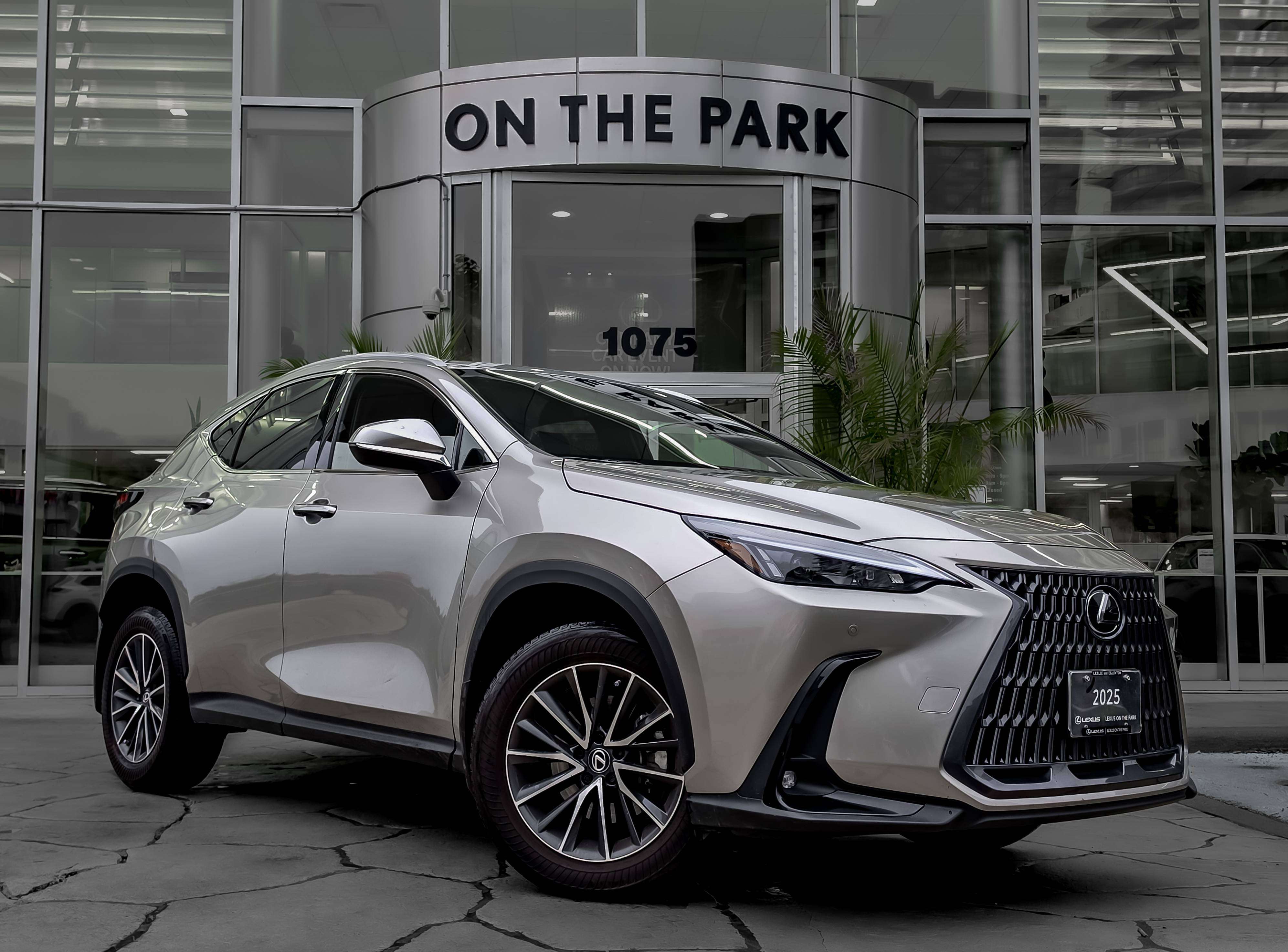 2025 Lexus NX