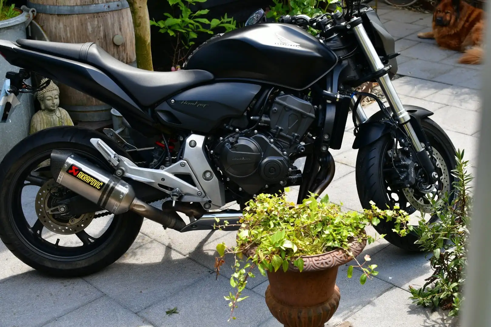 Honda CB 650 Hornet Negru - 2