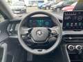 Skoda Kodiaq iV Selection 1.5 TSI,DSG,Matrix-LED,ACC Grigio - thumbnail 12