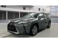 Lexus UX 300e Luxury Line 360 Grad Kamera Mark Levinson Grau - thumbnail 1