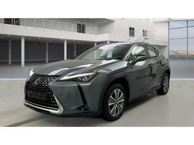 Lexus UX 300e Luxury Line 360 Grad Kamera Mark Levinson