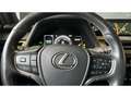 Lexus UX 300e Luxury Line 360 Grad Kamera Mark Levinson Grau - thumbnail 7