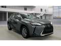Lexus UX 300e Luxury Line 360 Grad Kamera Mark Levinson Grau - thumbnail 2