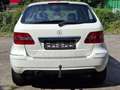 Mercedes-Benz B 180 B 180 NGT(Benzin/Gas) Weiß - thumbnail 6