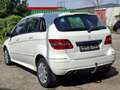 Mercedes-Benz B 180 B 180 NGT(Benzin/Gas) Weiß - thumbnail 7