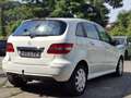 Mercedes-Benz B 180 B 180 NGT(Benzin/Gas) Weiß - thumbnail 5