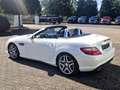 Mercedes-Benz SLK 350 SLK 350 Automatik +Airscarf, AMG-Styling, Soundsys Weiß - thumbnail 6