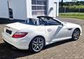 Mercedes-Benz SLK 350 SLK 350 Automatik +Airscarf, AMG-Styling, Soundsys Weiß - thumbnail 5