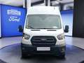 Ford Transit 350 L4H3 Lkw HA Trend *Navi*Dig.Spiegel*Express* Bianco - thumbnail 2