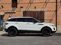 Land Rover Range Rover Evoque Range Rover Evoque 2.2 Sd4 5p. Dynamic Bianco - thumbnail 3