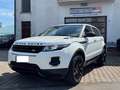 Land Rover Range Rover Evoque Range Rover Evoque 2.2 Sd4 5p. Dynamic Bianco - thumbnail 1