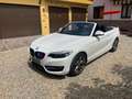 BMW 220 BMW 2 series 220 d M Sport 190 cv cabrio Weiß - thumbnail 8