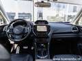 Subaru Forester 2.0I e-Boxer 4wd Aut. First Edition LEER / PANO / Grau - thumbnail 16