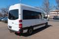 Mercedes-Benz Sprinter II Kombi 316 CDI / Klima / AHK / 9Sitze Weiß - thumbnail 5