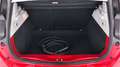 Renault ZOE Zoe Zen R110 Flex my20 Rosso - thumbnail 12
