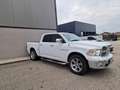 Dodge RAM 1500 Crew Cab 4x4 Laremie Weiß - thumbnail 1