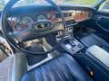 Daimler Double Six 5.3 Weiß - thumbnail 16