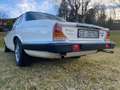 Daimler Double Six 5.3 Weiß - thumbnail 5