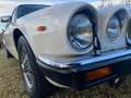 Daimler Double Six 5.3 Weiß - thumbnail 9