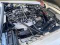 Daimler Double Six 5.3 Weiß - thumbnail 22