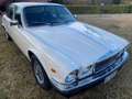 Daimler Double Six 5.3 Weiß - thumbnail 3