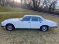 Daimler Double Six 5.3 Weiß - thumbnail 10