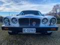 Daimler Double Six 5.3 Weiß - thumbnail 4