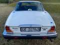 Daimler Double Six 5.3 Weiß - thumbnail 7