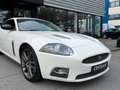 Jaguar XKR 4.2 V8 Coupé 416PK I NL-Auto I Alpine Sound I Memo Wit - thumbnail 42