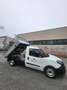 Fiat Doblo Work up cassone ribaltabile Blanco - thumbnail 2